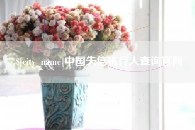丽江中国失信执行人查询官网