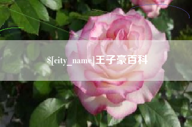 丽江王子豪百科