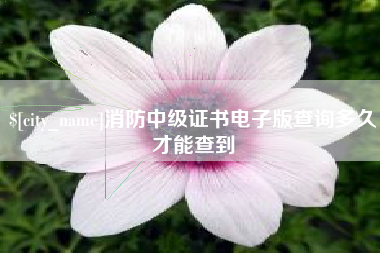 丽江消防中级证书电子版查询多久才能查到
