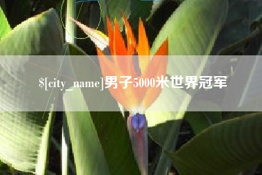 丽江男子5000米世界冠军