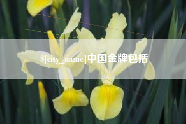 丽江中国金牌包括