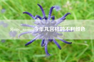 丽江今年九宫格的不利颜色
