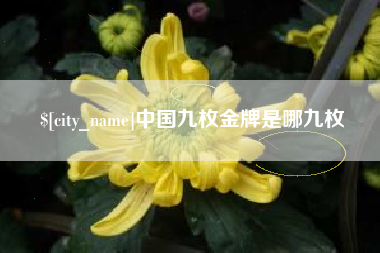 丽江中国九枚金牌是哪九枚
