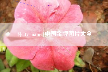 丽江中国金牌图片大全