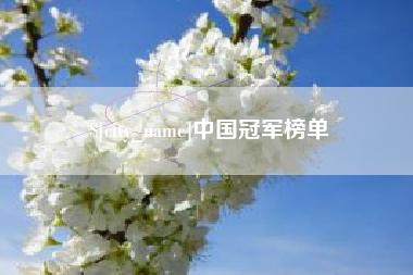丽江中国冠军榜单