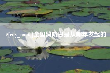 丽江全国消防日是从哪年发起的