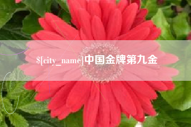 丽江中国金牌第九金