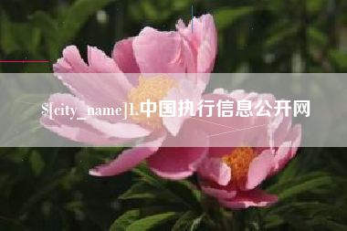 丽江1.中国执行信息公开网