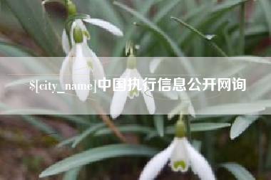 丽江中国执行信息公开网询