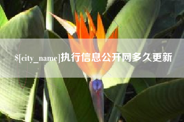 丽江执行信息公开网多久更新