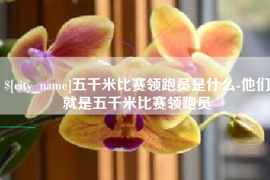 丽江五千米比赛领跑员是什么-他们就是五千米比赛领跑员