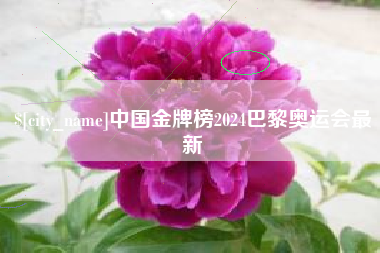 丽江中国金牌榜2024巴黎奥运会最新