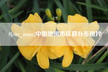 丽江中国地图市区县分布图片