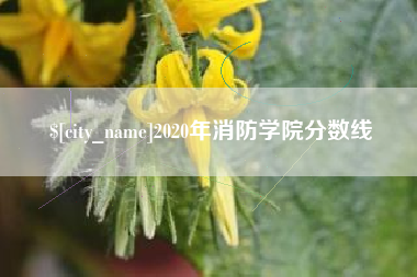 丽江2020年消防学院分数线