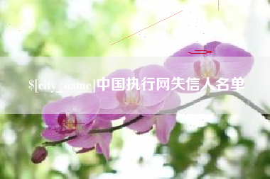 丽江中国执行网失信人名单
