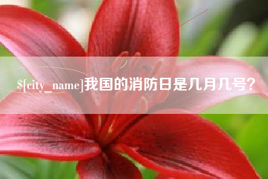 丽江我国的消防日是几月几号？
