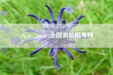 丽江全国消防招考网