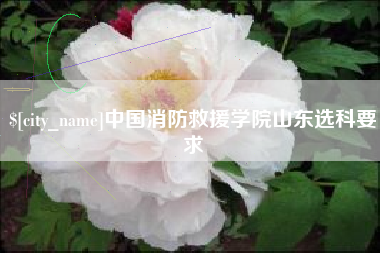 丽江中国消防救援学院山东选科要求