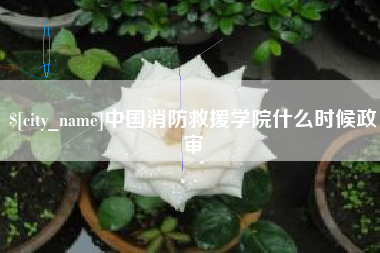 丽江中国消防救援学院什么时候政审