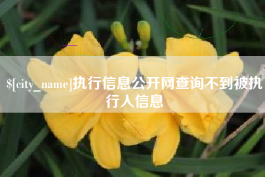 丽江执行信息公开网查询不到被执行人信息