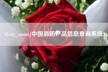 丽江中国消防产品信息查询系统1