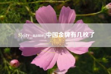 丽江中国金牌有几枚了