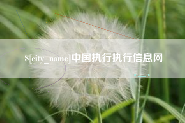 丽江中国执行执行信息网