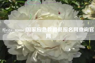 丽江国家应急救援员报名网查询官网