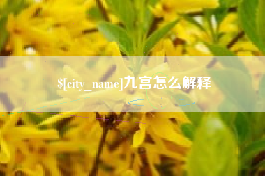 丽江九宫怎么解释