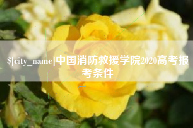 丽江中国消防救援学院2020高考报考条件