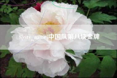丽江中国队第八块金牌