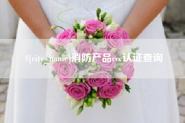 丽江消防产品ccc认证查询