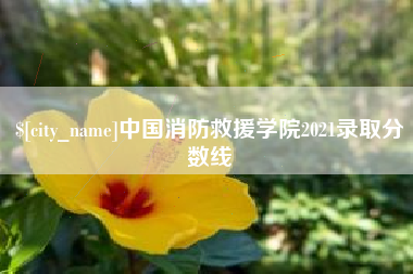 丽江中国消防救援学院2021录取分数线