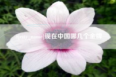 丽江现在中国哪几个金牌