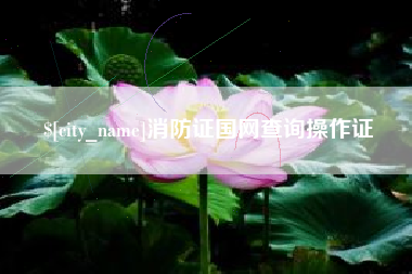 丽江消防证国网查询操作证
