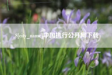 丽江中国执行公开网下载