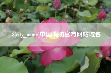 丽江中国消防官方网站域名