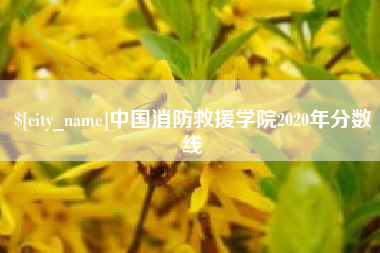 丽江中国消防救援学院2020年分数线