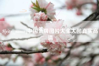 丽江中国金牌图片大全大图真实高清