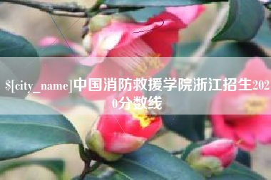 丽江中国消防救援学院浙江招生2020分数线