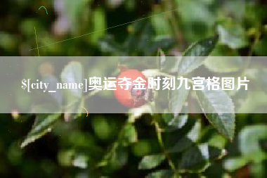 丽江奥运夺金时刻九宫格图片