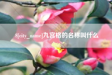 丽江九宫格的名称叫什么