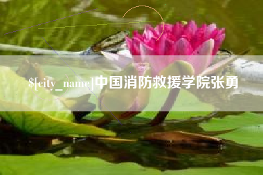 丽江中国消防救援学院张勇