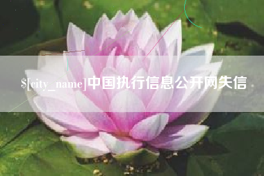 丽江中国执行信息公开网失信