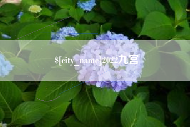 丽江2022九宫