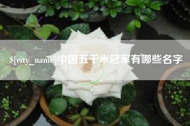 丽江中国五千米冠军有哪些名字