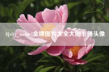 丽江金牌图片大全大图卡通头像