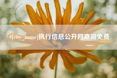 丽江执行信息公开网查询免费