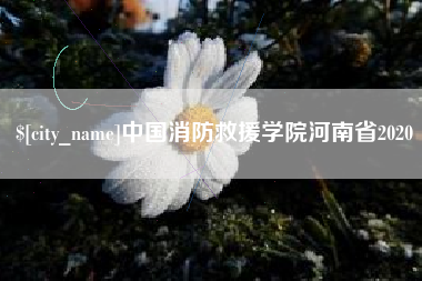 丽江中国消防救援学院河南省2020